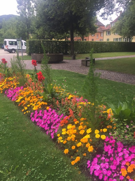 Blumenpracht im Klostergarten